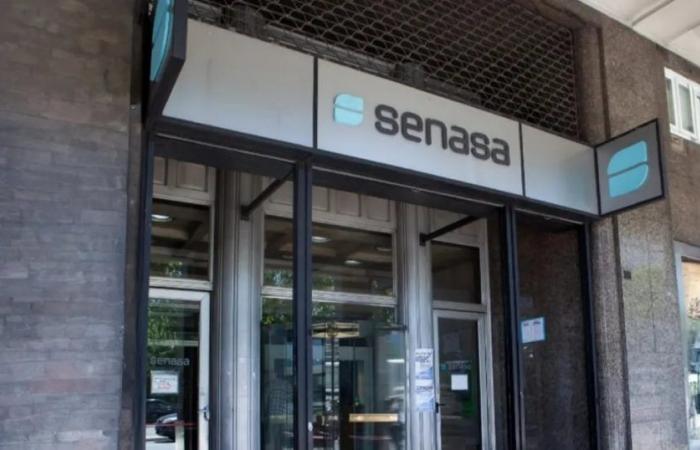 Senasa closes six offices in Córdoba and relocates its services