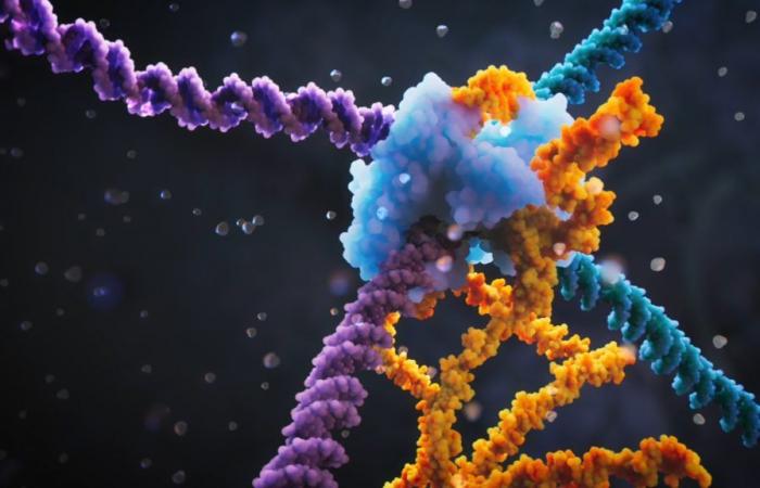 New genome editing technique based on a programmable bridge RNA