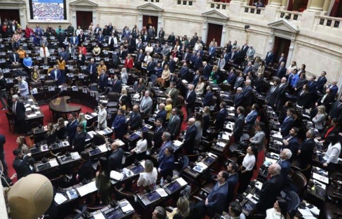 Congress approved the Bases law, a political victory for the Government of Javier Milei