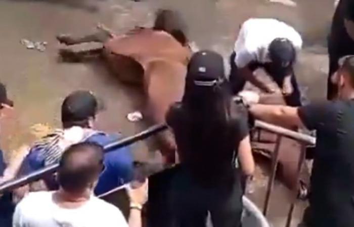 Animal abuse in Neiva? Horse convulsing on the ground during horseback riding causes outrage