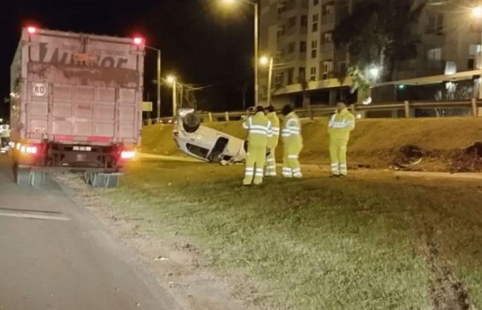 driver collided with a horse on the Panamericana and overturned