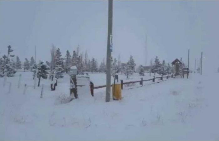 Two people disappeared in Chubut in the middle of the strong snow storm