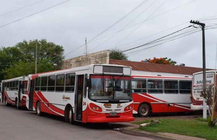 Chaco: due to the lack of buses, the city of Sáenz Peña would enable the bus service