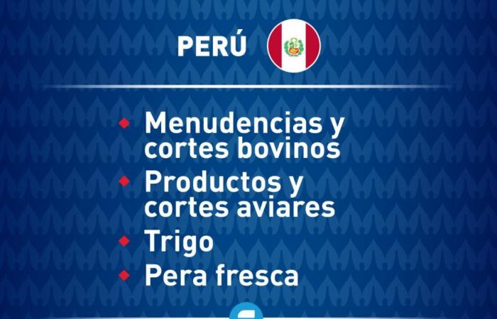 Copa America: Argentina maintains a large export of products with Peru