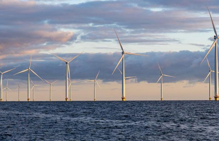 EDF joins forces with Blunova to build a 975 MW floating wind farm in Sicily