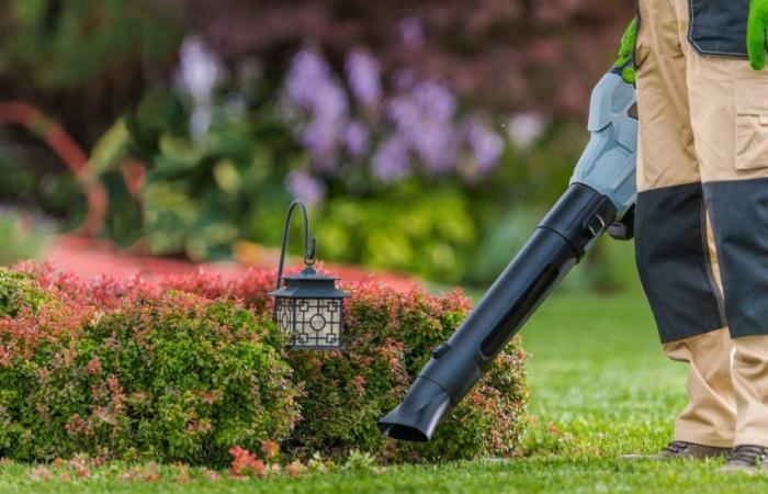 Best Leaf Blowers for 2024