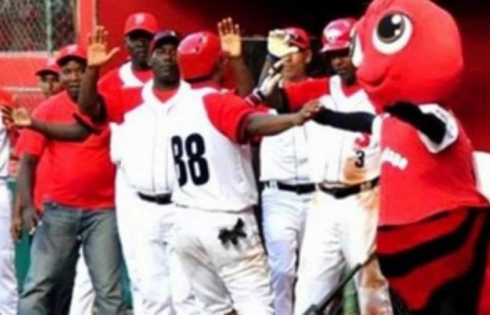 Santiago de Cuba team mascot loses his mind after diving onto the baseball field