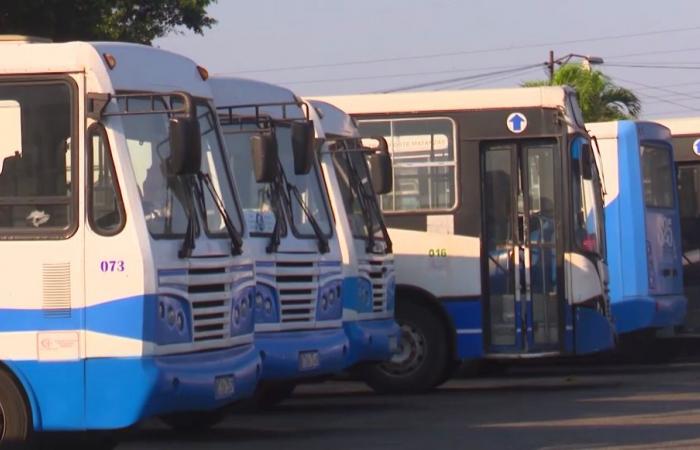 The transport sector in Matanzas celebrates its day