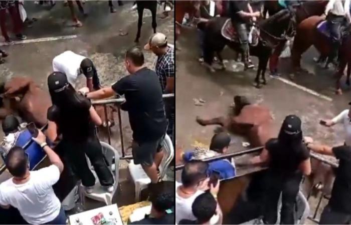 They report a case of animal abuse at San Juan festivities