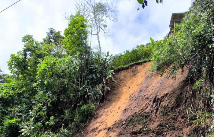 The rains have generated landslides and tree falls in Manizales