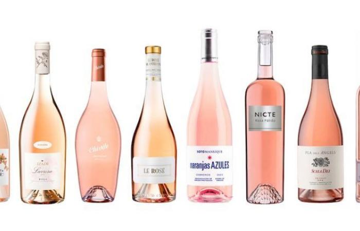 Ten excellent rosé wines with Provençal glamour | Drink | Gastronomy