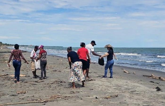 Ombudsman conducts awareness-raising and beach cleaning campaign in Moñitos, Córdoba