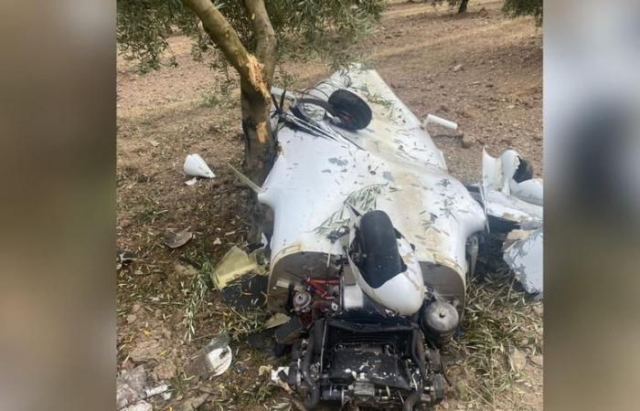 PLANE DECEASED | Two people die in a small plane accident in an olive grove in Castro del Río
