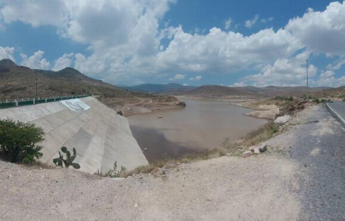 Rains “alleviated” drought, but SLP must learn the lesson: Félix Díaz – El Sol de San Luis