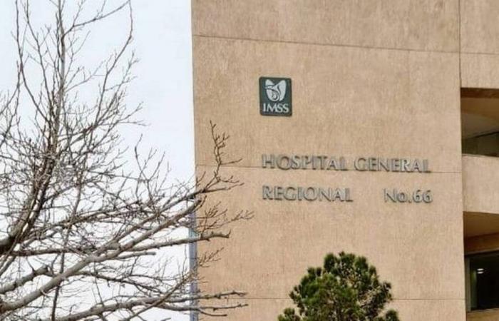 Four-year-old boy dies from rickettsia in IMSS clinic 66 – El Heraldo de Juárez