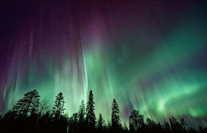 Japanese scientists record a huge and rare ‘polar rain aurora’ from Earth for the first time