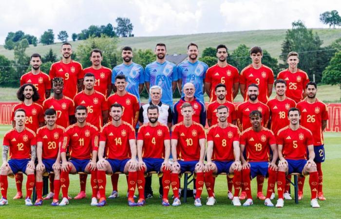 The business of the Spanish national team footballers
