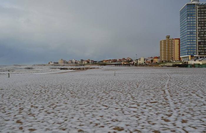 Weekend of snow and sea: snowfall forecast for Mar del Plata and the Atlantic Coast | A yellow alert is also in effect