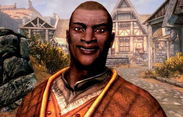 There is a player who wakes up every day, starts Skyrim, kills an NPC in completely absurd ways, and leaves – The Elder Scrolls V: Skyrim