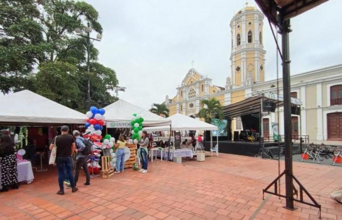 Ocaña celebrates Beauty, Health and Wellness Fair this weekend