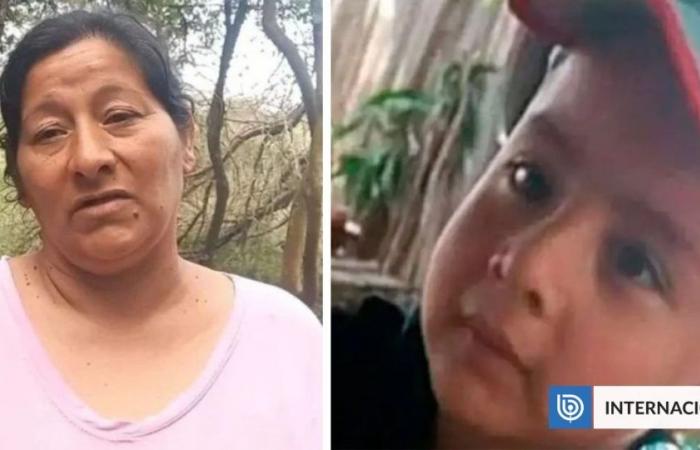 Aunt of a boy who disappeared 20 days ago in Argentina would have confessed that he was run over and buried | International