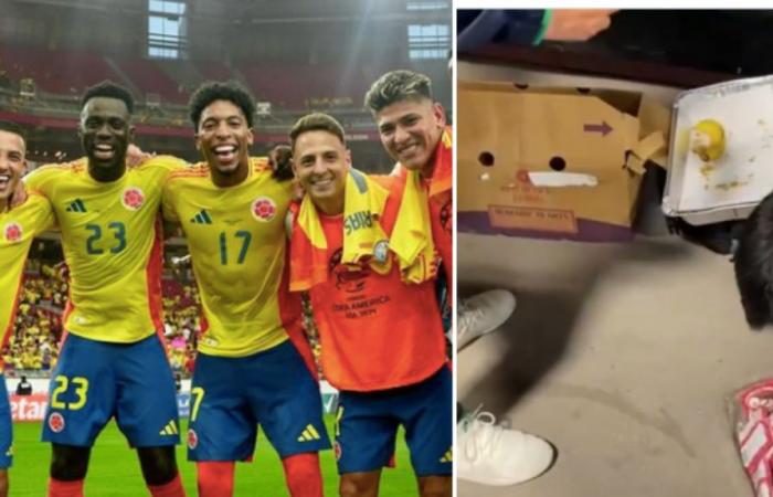 What a great gesture! Colombian national team gives food to journalists covering the matches