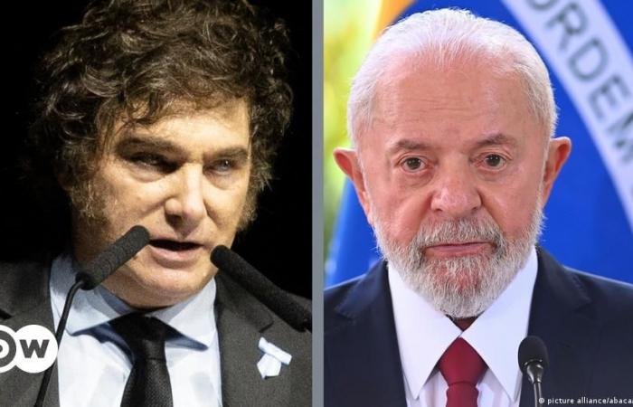 Javier Milei refuses to apologize to Lula da Silva – DW – 06/29/2024