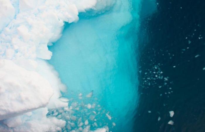 In Antarctica, scientists make a shocking discovery that puts everyone on alert