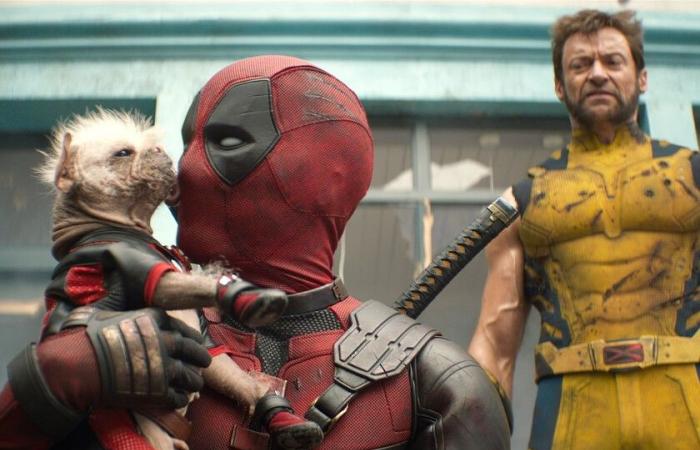 July will bring back Deadpool and Wolverine, but there’s plenty more to watch this coming month in film and television; here are the top new releases