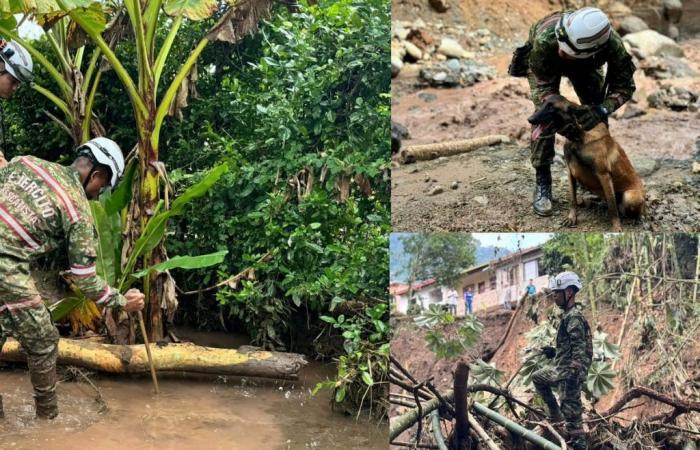Army helps population after avalanche in Venice, Antioquia