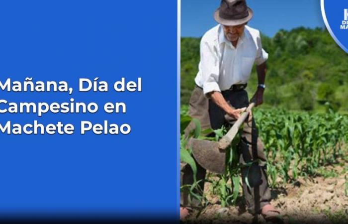 Tomorrow, Farmer’s Day in Machete Pelao