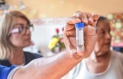 Fight against dengue in Villa María del Triunfo | News
