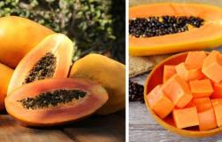 What happens to your body if you eat papaya every day? The effects on your health