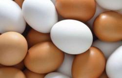 What is the difference between white and colored eggs?