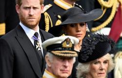 King Charles won’t see Prince Harry because of Queen Camilla, monarch’s friend claims