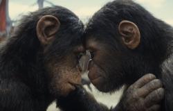 ‘Kingdom of the Planet of the Apes’: Critics praise the visual effects, action and its independent nature