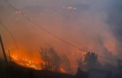 Five dead, 1,300 hectares of land affected in Uttarakhand forest fires, officials say