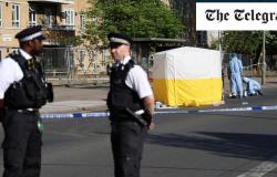 Man in court charged with stabbing murder of woman, 66, in London street