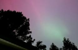 Insiders share magical photos of auroras illuminating night skies across Florida, Georgia