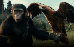 ‘Planet of the Apes: New Kingdom’ exists thanks to James Cameron’s ‘Avatar 2’ – Movie news