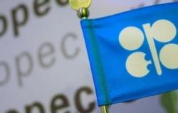 OPEC Signals Lasting OPEC+ Alliance in Oil Market Management