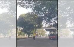 Man was about to be run over in Bucaramanga: he walked the wrong way on the highway