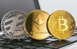 The rise and fall of cryptocurrencies: this is how their value has moved