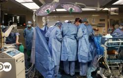Patient who received pig kidney transplant dies – DW – 05/12/2024