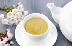 What is white tea for and when to drink this nectar of “eternal youth”
