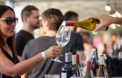 One of the most important wine events in the country comes to Córdoba – Córdoba – Tourism and Flavors