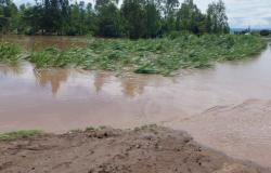 Tana Delta still experiencing flooding says latest flood update