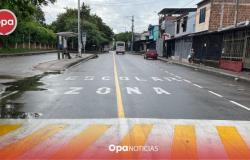 Neiva Launches ‘Tacho, let me cross’ Campaign for School Road Safety