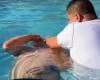 Video: a pastor baptized Turco García in a Miami pool