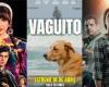 Peruvian cinema makes history: ‘Vaguito’, ‘Alive or Dead’ and ‘Chabuca’ fill the theaters, which is the most watched?